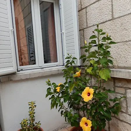 Apartman Amazing Sea View *