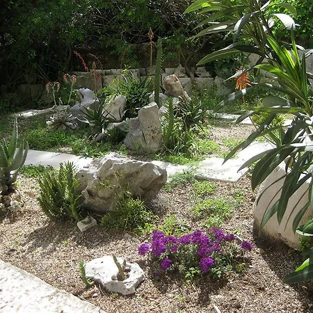 Appartement Amazing Sea View