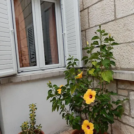 Amazing Sea View Appartement *