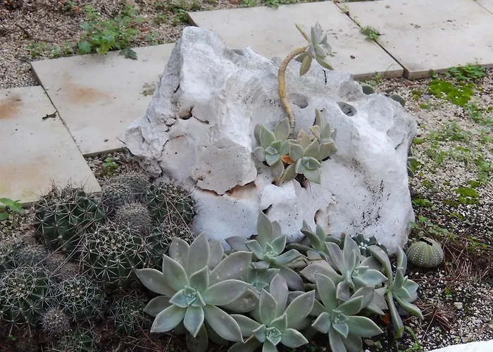 Daire Amazing Sea View