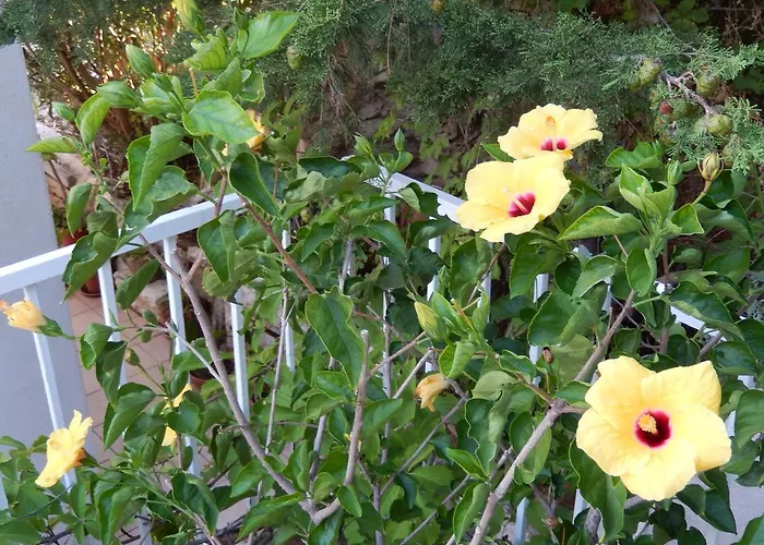 Amazing Sea View 아파트