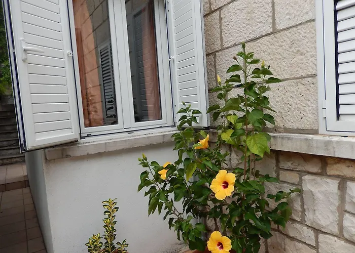 Amazing Sea View Daire *