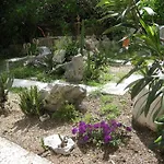 Daire Amazing Sea View