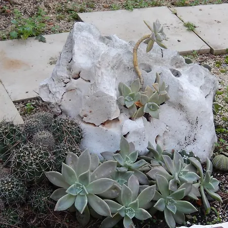 Lägenhet Amazing Sea View