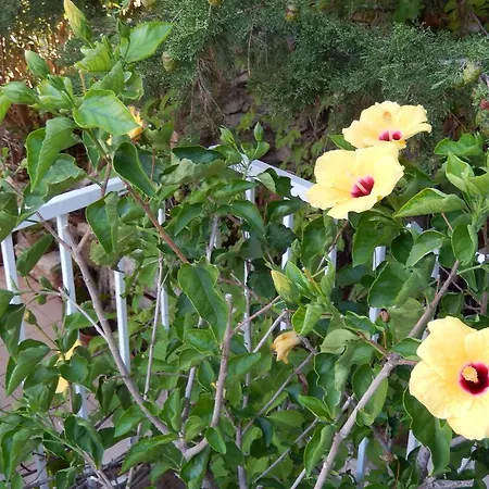 Amazing Sea View Lägenhet