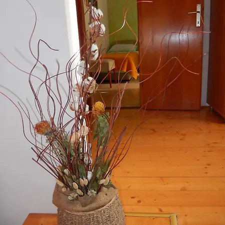 Lägenhet Amazing Sea View