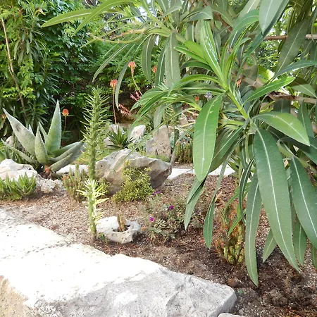 Amazing Sea View Lägenhet *